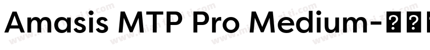 Amasis MTP Pro Medium字体转换